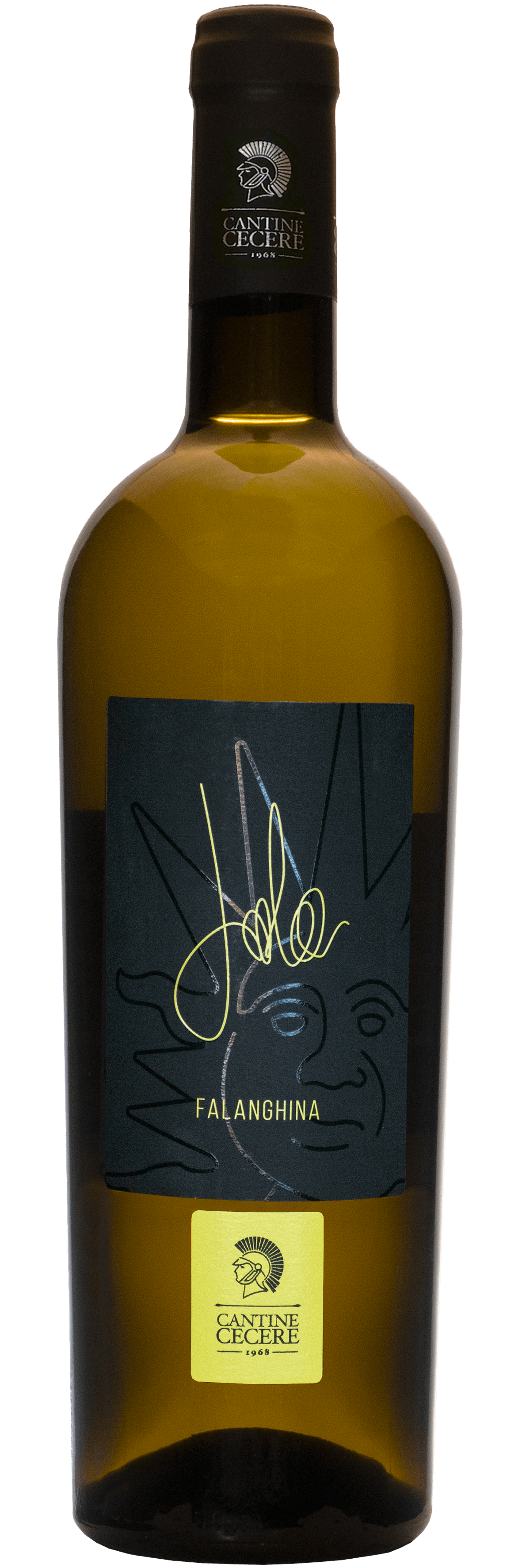 Bottle of Falanghina wine, an excellent and tasty choice for wine lovers, showcasing a prelibato flavor profile.