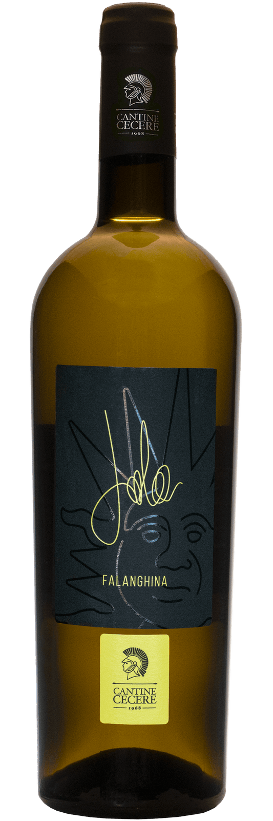 Bottle of Falanghina wine, an excellent and tasty choice for wine lovers, showcasing a prelibato flavor profile.